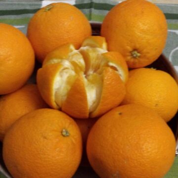 Angielska konfitura z pomarańczy